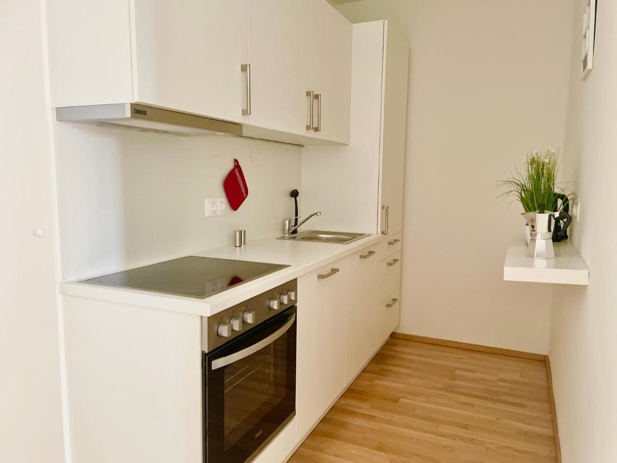 Central 55M2 Flat With Balcony & Parking เวียนนา ภายนอก รูปภาพ